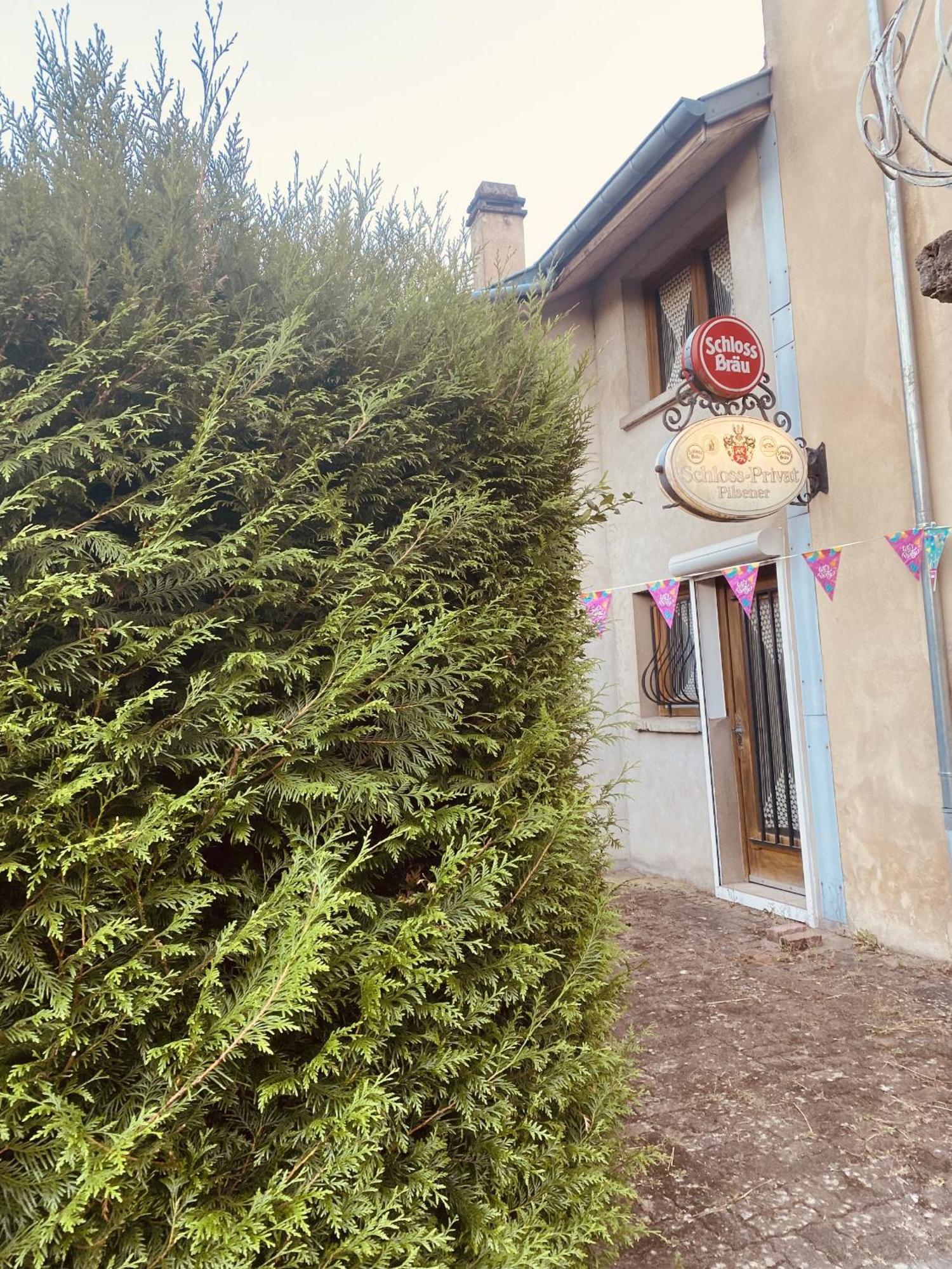 La Mariefacture - Comme A La Guinguette ! Villa Hombourg-Haut Dış mekan fotoğraf